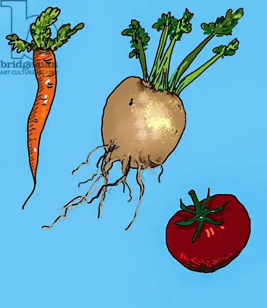 Thompson-Engels, Sara: Root vegetables