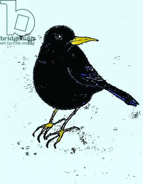 Thompson-Engels, Sara: Blackbird