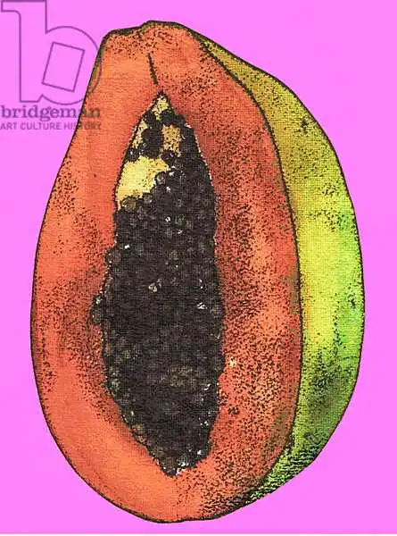 Thompson-Engels, Sara: Papaya