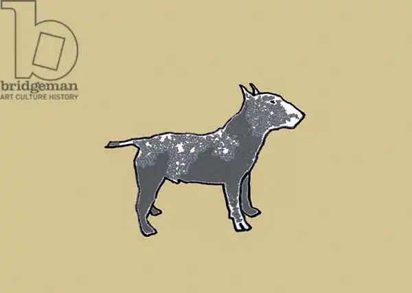 Thompson-Engels, Sara: Bull terrier
