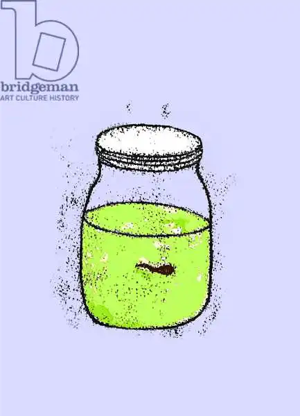 Thompson-Engels, Sara: Tadpole