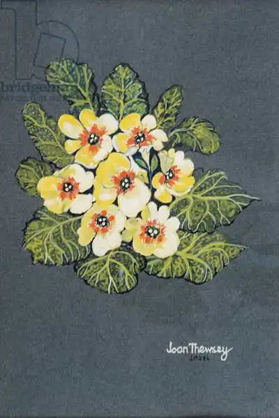 Thewsey, Joa: The Yellow Primrose 2012