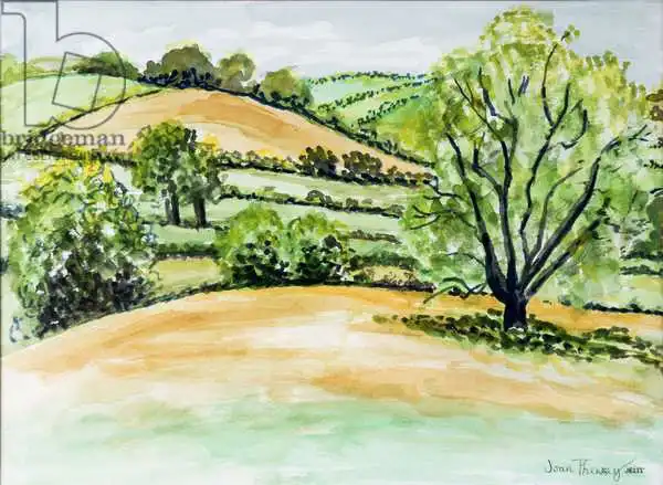 Thewsey, Joa: Paesaggio del Suffolk, vista dalla chiesa di Dalham