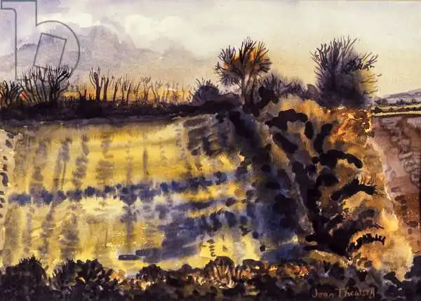 Thewsey, Joa: Field with Long Shadows