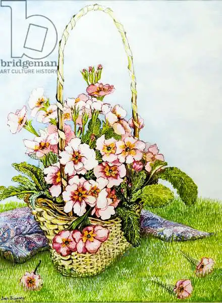 Thewsey, Joa: Prímulas rosas en una cesta de floristería con un pañuelo de cachemira
