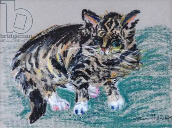 Thewsey, Joa: Tabby Cat,2005