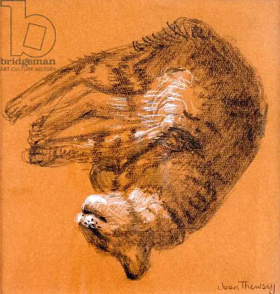 Thewsey, Joa: Sleeping Tabby Cat,2005