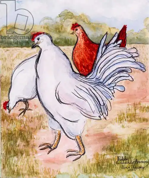 Thewsey, Joa: Ralphy,El gallito ,2005