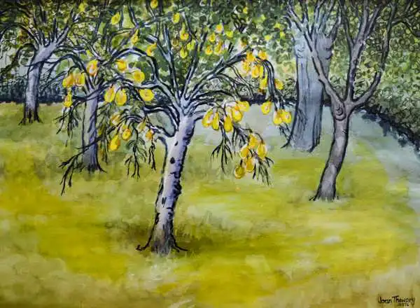 Thewsey, Joa: Il piccolo albero di pere, 2005