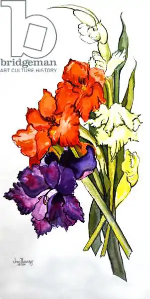Thewsey, Joa: Gladioli