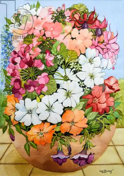 Thewsey, Joa: Petunias, Geraniums and Fuchsias in a Terrace Pot