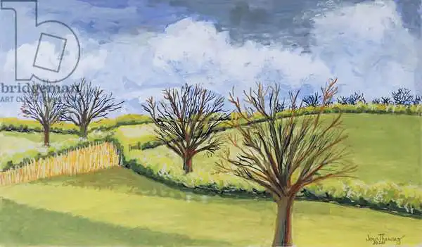 Thewsey, Joa: Cielo di primavera del Suffolk