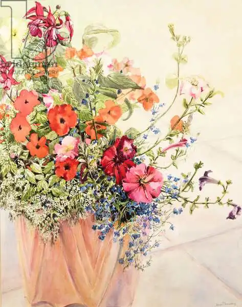 Thewsey, Joa: Petunias, Lobelias, Busy Lizzies and Fuschia in a Terracotta Pot