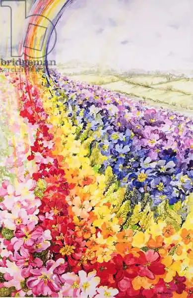 Thewsey, Joa: Primrose Rainbow