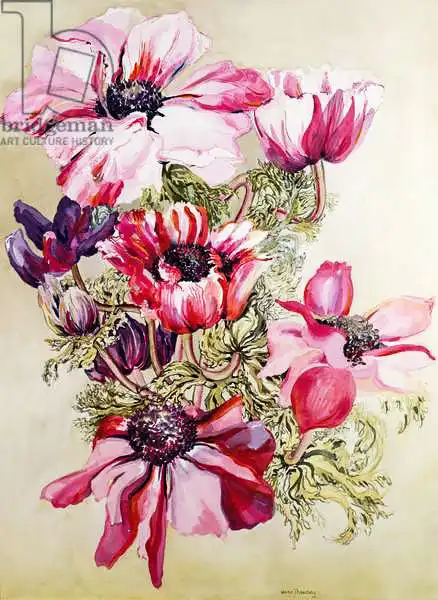 Thewsey, Joa: Anemones