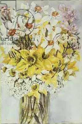 Thewsey, Joa: Daffodils and Narcissi