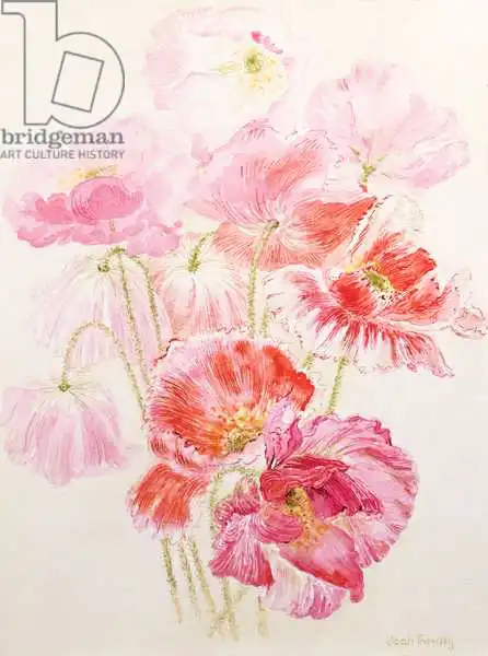 Thewsey, Joa: Shirley Poppies