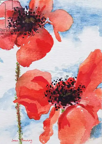 Thewsey, Joa: Poppies