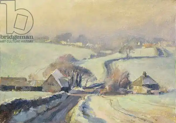 Chamberlain, Trevor: Frosty fields, Aston