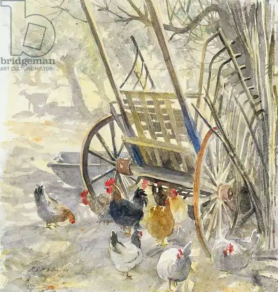 Scott Bolton, Tim: Pollos bajo carro mallorquín