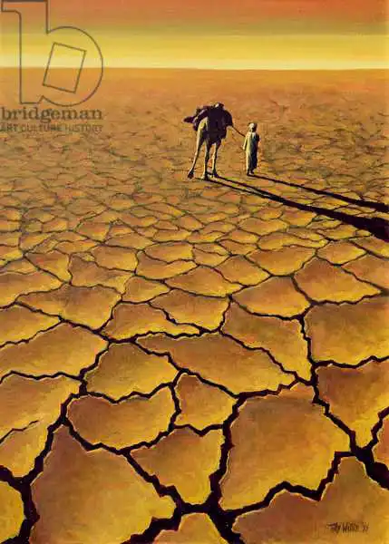 Willis, Till: Saharan Journey