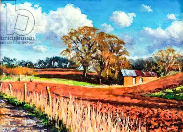Willis, Till: Country Barn
