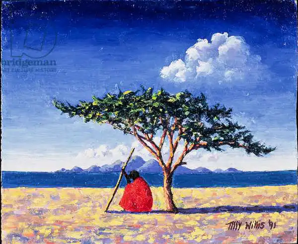 Willis, Till: Under the Acacia Tree