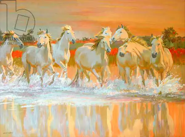 Ireland, William: Camargue