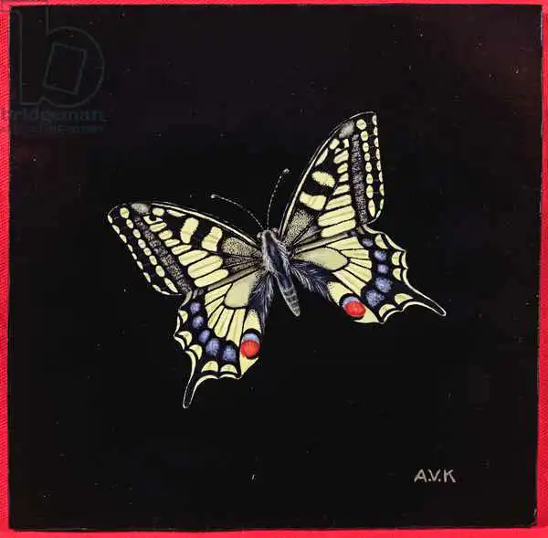 Kleiser, Amelia: Swallowtail butterfly