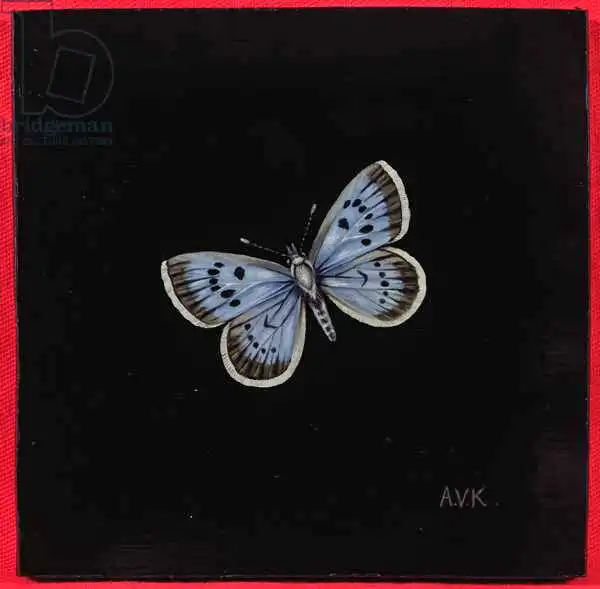 Kleiser, Amelia: Large blue butterfly
