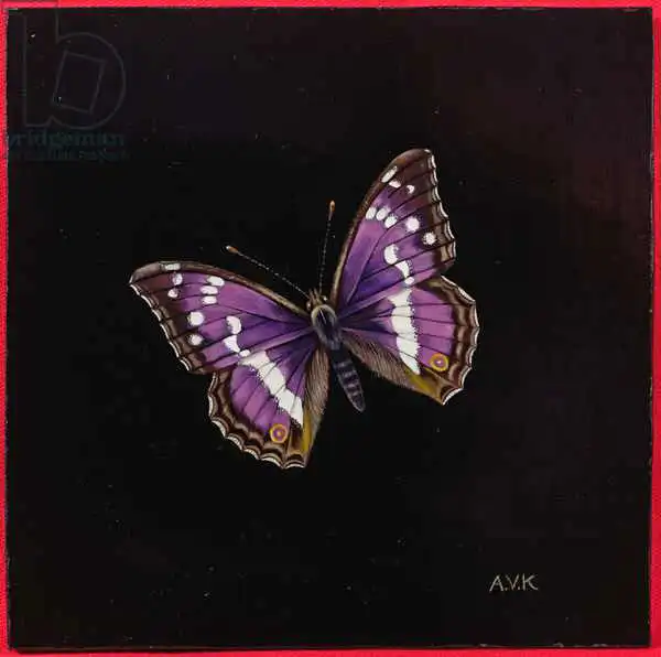 Kleiser, Amelia: Purple emperor butterfly
