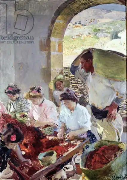 Sorolla y Bastida, Joaquin: Preparing the Dry Grapes