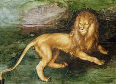 Dürer, Albrecht: Lev