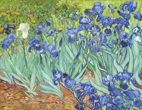 Gogh, Vincent van: Kosatce