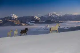 Malovrh, Milan: snová sekvence