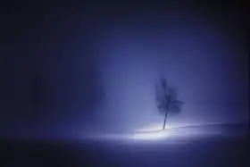 Huybrighs, Marc: Solitair modrá