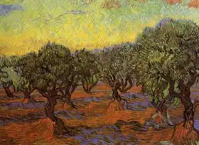 Gogh, Vincent van: Olivový hájek II.