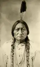 Barry D. F.: Sedící Býk - Sitting Bull - Tĥatĥánka Íyotake (1885)