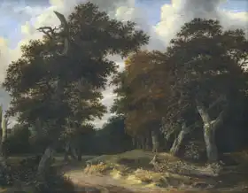 Ruisdael, Jacob: Cesta dubovým lesem