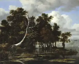 Ruisdael, Jacob: Duby a lekníny