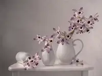 Perfoncio, Margareth: Lila orchidej