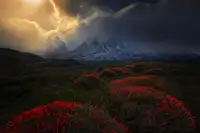 P., Ruiqing: Ohnivé koule Torres del Paine 2