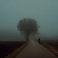 Wasinger, Renate: ranní procházka
