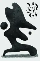 stanley, jay: Těla Henri Matisse #3