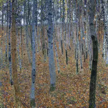 Klimt, Gustav: Beech Grove I (1902)