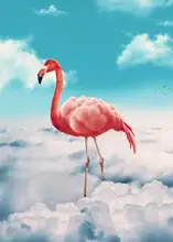 Barizi, Al: Flamingo V Oblacích