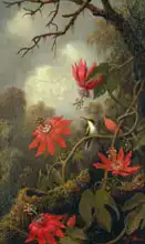 Heade, Martin Johnson: Kolibřík a mučenky
