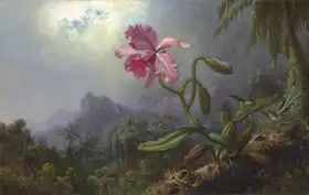 Heade, Martin Johnson: Dva kolibříci s orchidejí