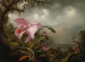 Heade, Martin Johnson: Orchidej a kolibřík