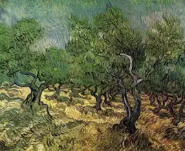 Gogh, Vincent van: Olivový hájek